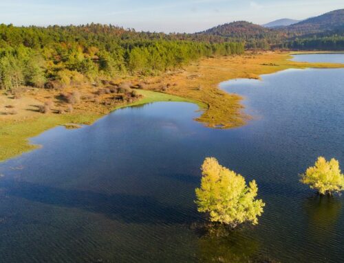 Zavod za turizem Pivka razpisuje prosto delovno mesto