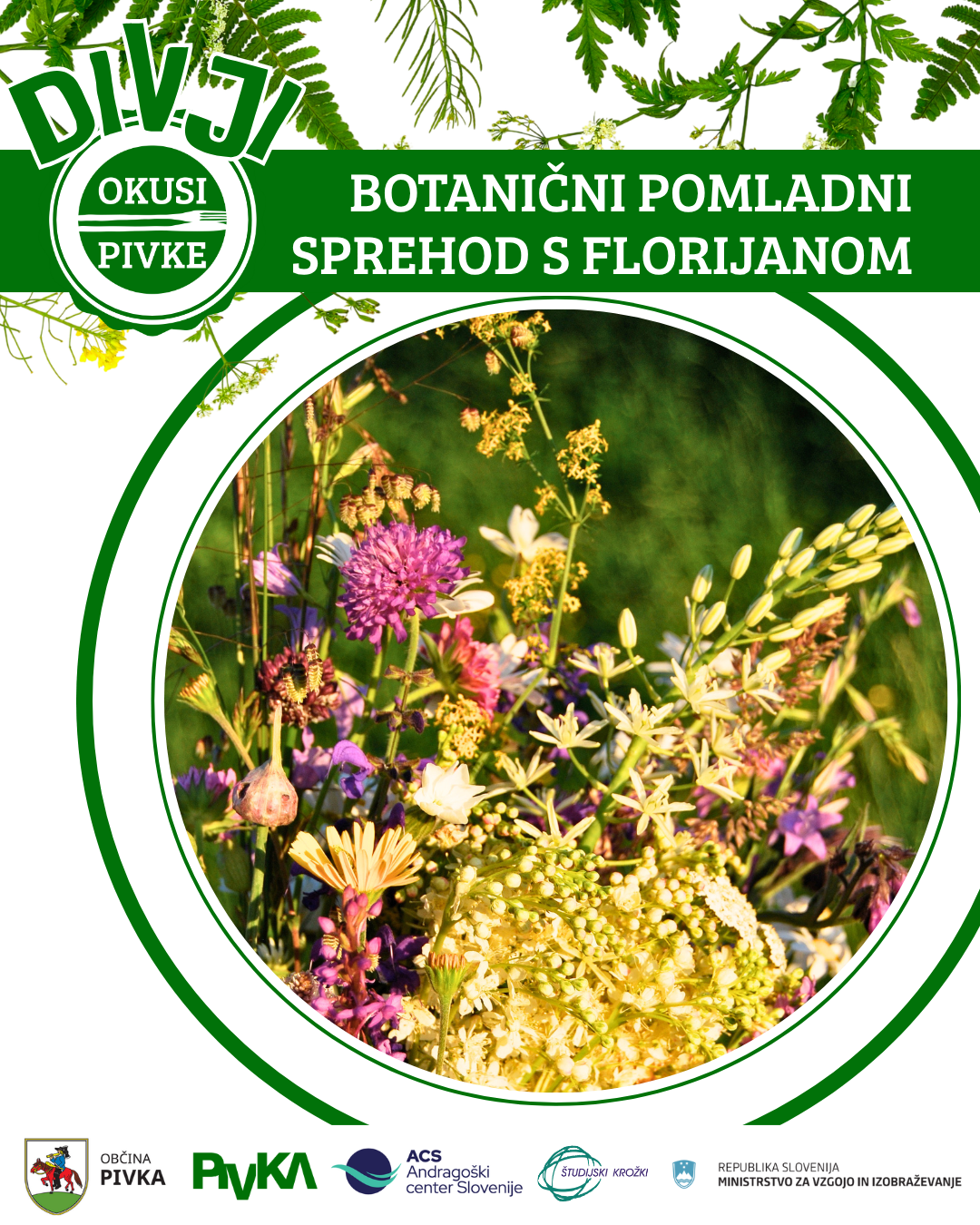BOTANIČNIweb