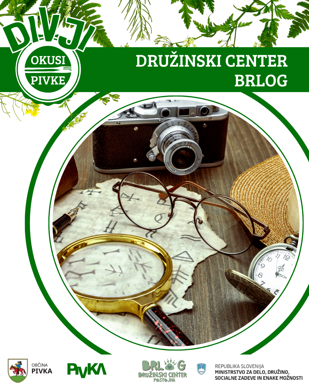 BRLOGweb