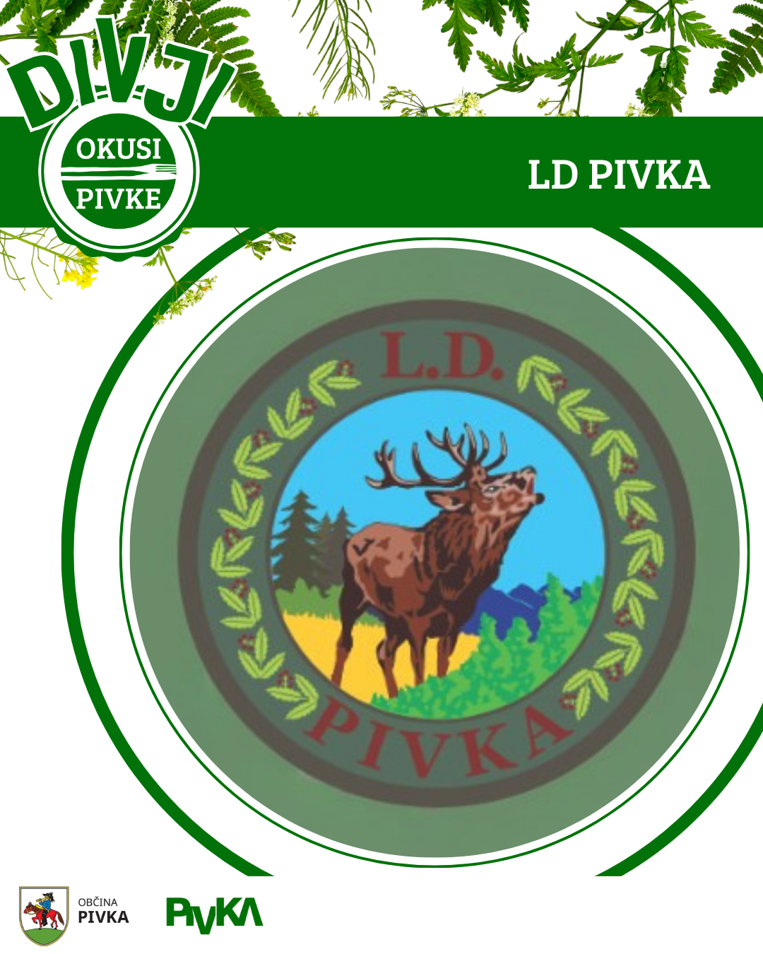 LDPIVKAweb
