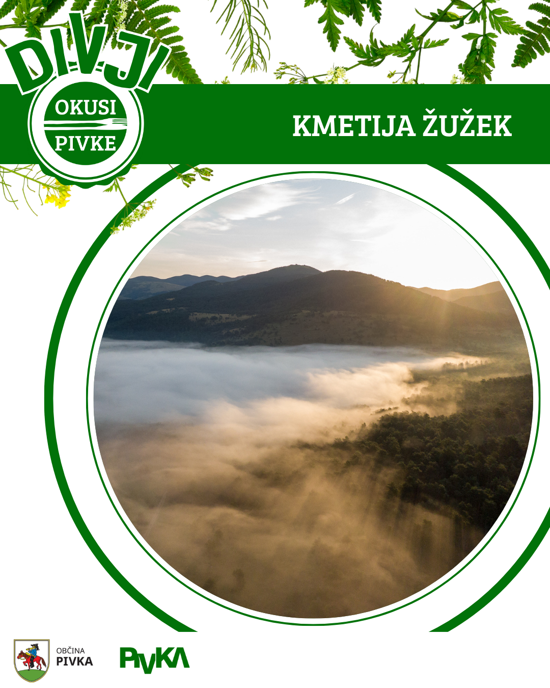 ŽUŽEKweb